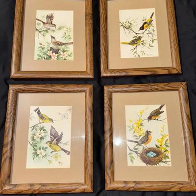 Pretty Bird Prints 