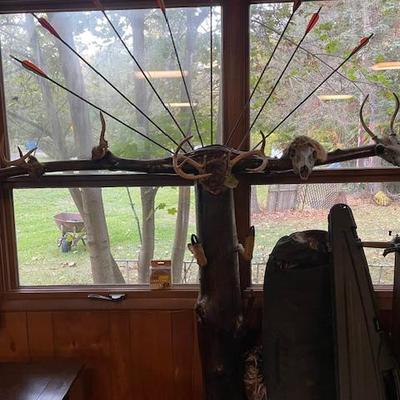 Unique Oddities