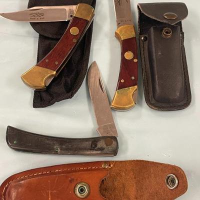 Case XX and 2 Spring Assist