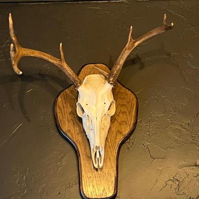 Sale Photo Thumbnail #45