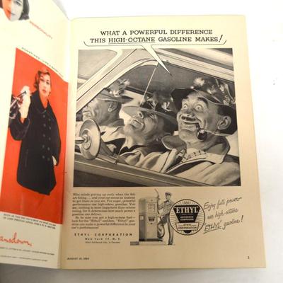 Sale Photo Thumbnail #160