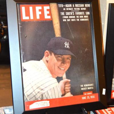 Very Large Collection of Life Magazines 