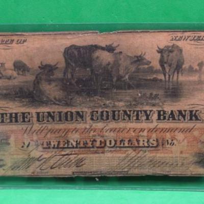 Sale Photo Thumbnail #402: Union County Bank $20 NJ
