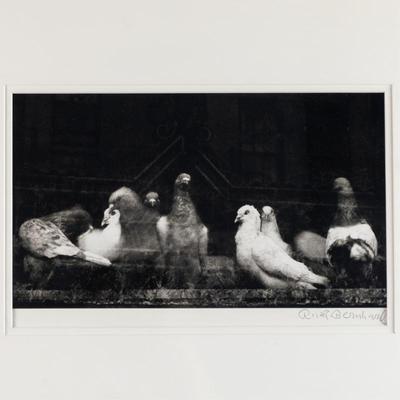 Sale Photo Thumbnail #960