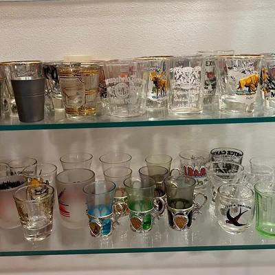 Shot Glass Collection