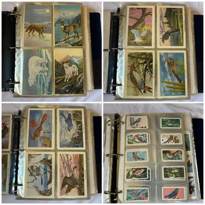 Vintage Wildlife Stamps And Postcards (1 Binder)