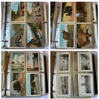Vintage Yellowstone & Montana Postcards (1 Binder)