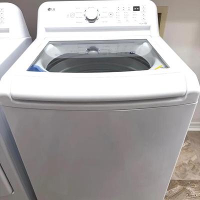 LG 4.3 Cu Ft Washing Machine