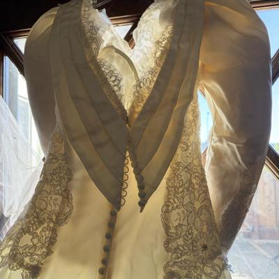 Back view