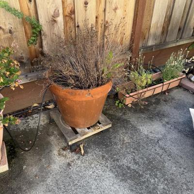 Pots