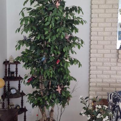 Floor to Ceiling Lighted Decorated Ficus Tree in Wicker Planter on Caster Base - 90" Tall