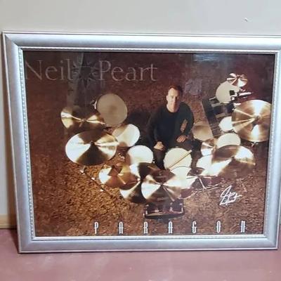 Neil Pert Paragon Framed Piece