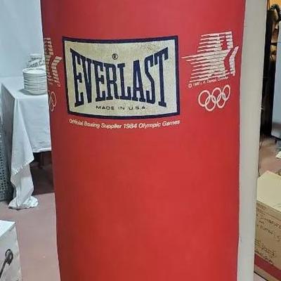 Everlast Punching Bag and Gloves