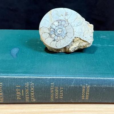 Fossilized ammonite book on geology