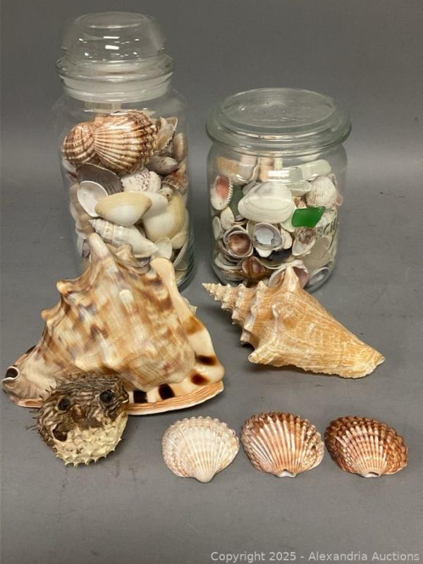 Sale Photo Thumbnail #35