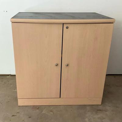 Garage Storage Cabinet 2
