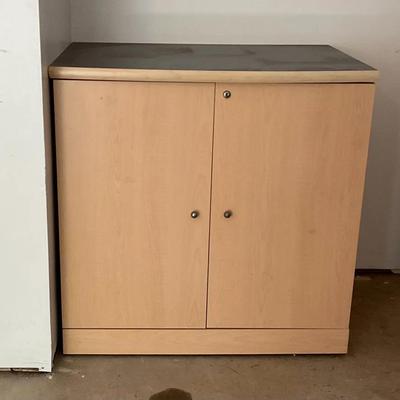 Garage Storage Cabinet 1
