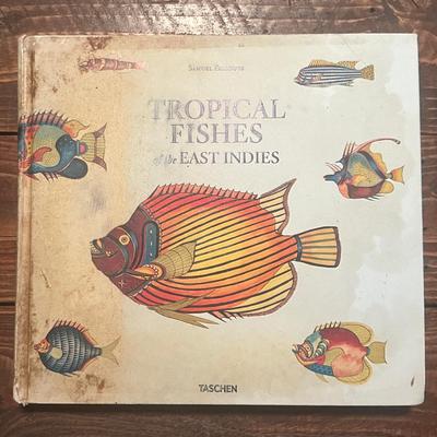 “Tropical Fishes of the East Indies" by Samuel Fallours - A Magnificent Reproducation by Taschen