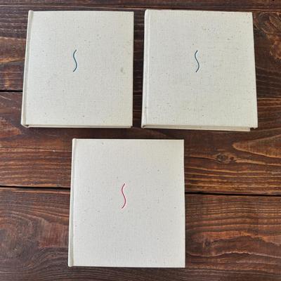 Rare Vintage SKIRA Art Book Set: Cubism, Fauvism, and Gauguin (1950s Editions)