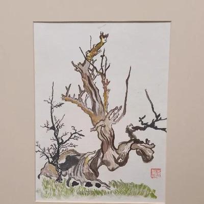 Illustration Of The Bristlecone Pine
