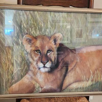 Lioness Original 