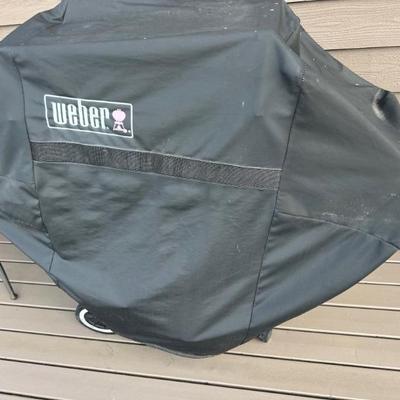 Weber grill