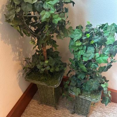 Decorative plant