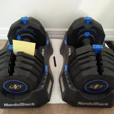 Two Nordic Track Weights