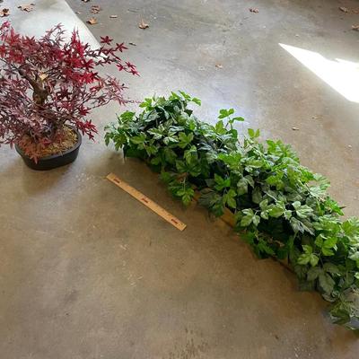 Two Faux Plants