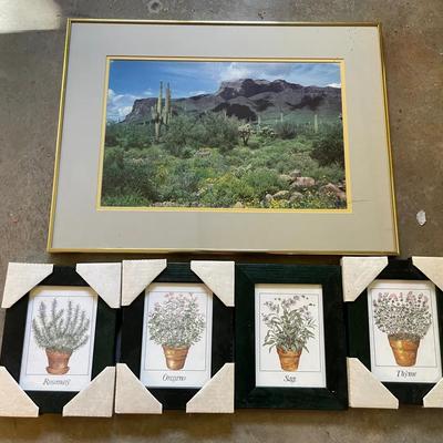 Framed Photograph Print By Jody Foster And Herb Pictures