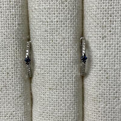 14k EMA Loop Earrings 