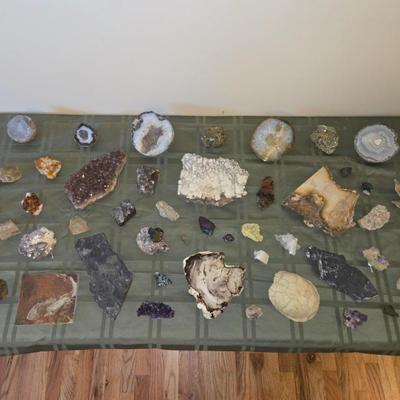 Sale Photo Thumbnail #50