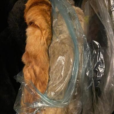 Sale Photo Thumbnail #282: Many furs