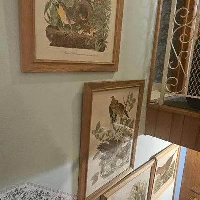 Set of 4 Framed John J. Audubon Bird Prints