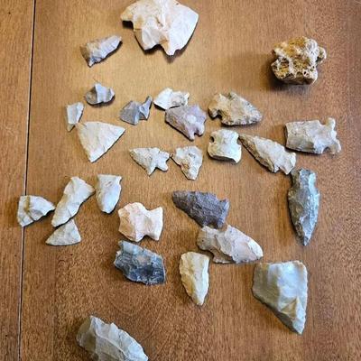 Arrowhead & Fossil Collection 