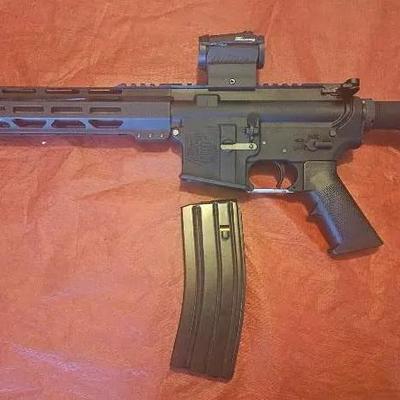 Diamondback AR15 Sig Sauer Red Dot Site 