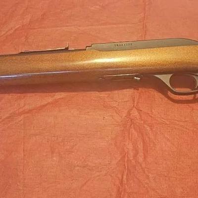 Marlin .22 Semi-Auto Rifle w/ 2 Magazines 