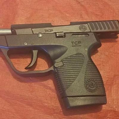 Taurus PT738