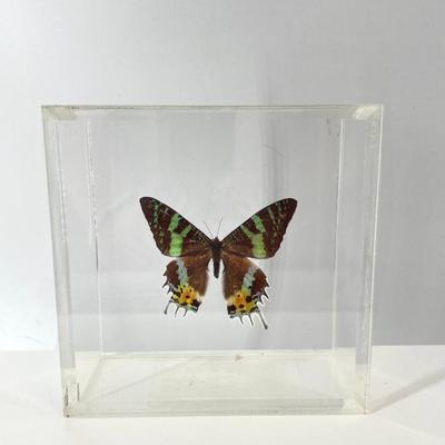 Sale Photo Thumbnail #319