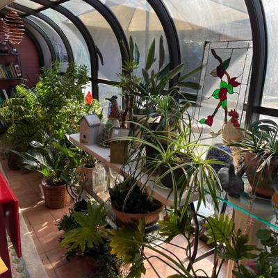 Sale Photo Thumbnail #71