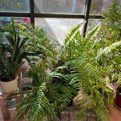 Sale Photo Thumbnail #63