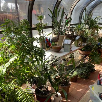 Sale Photo Thumbnail #64