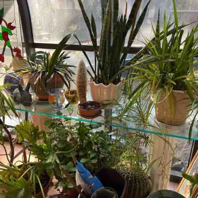 Sale Photo Thumbnail #70