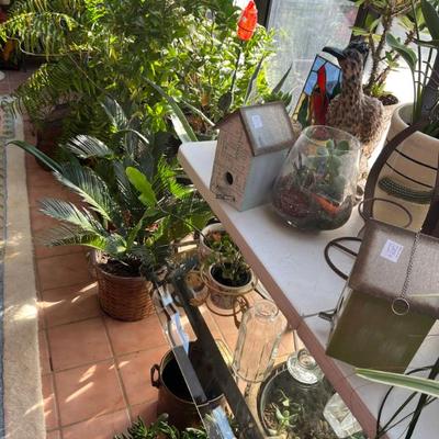 Sale Photo Thumbnail #61