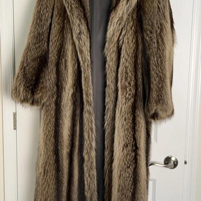 Raccoon Coat