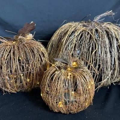 Fall Pumpkins 