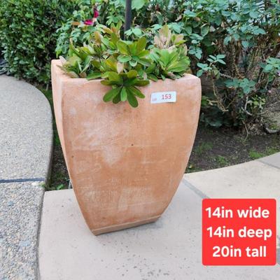 Sale Photo Thumbnail #360
