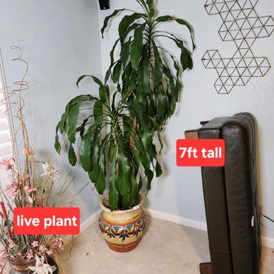 Sale Photo Thumbnail #235