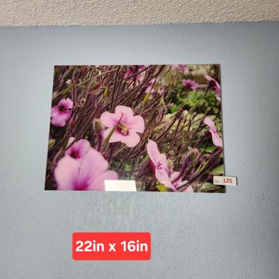 Sale Photo Thumbnail #317