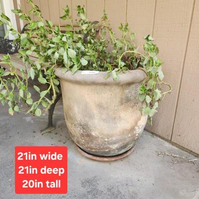Sale Photo Thumbnail #497